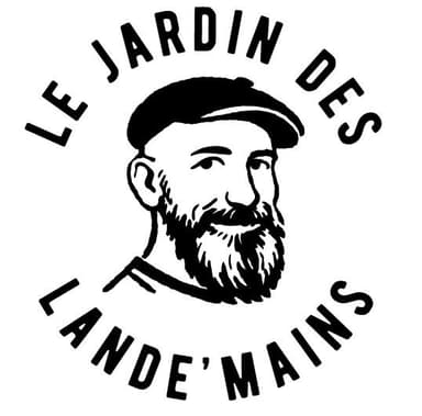 store_logo
